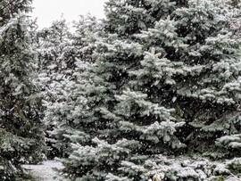 Polgárdi, karácsonyi hangulatban :)