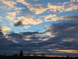 Polgárdi, csillapodik a szél, felhősödik, 4 C
