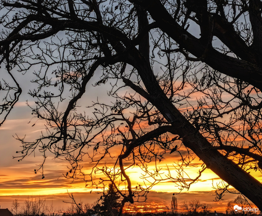 Polgárdi, a fákon túl 