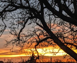 Polgárdi, a fákon túl 