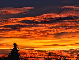 Polgárdi, gyönyörű színekkel búcsúzott 