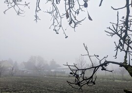Polgárdi, csak a szokásos 