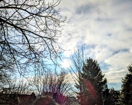 Polgárdi, próbálkozik a Nap, 8 C