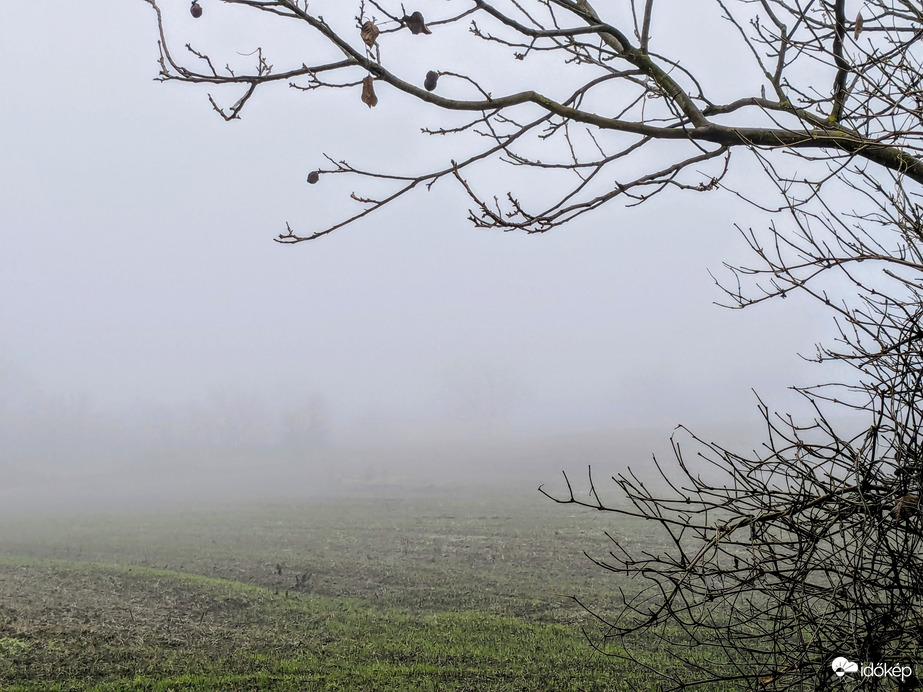 Polgárdi, kitart a köd, +3 C 