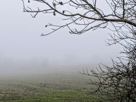 Polgárdi, kitart a köd, +3 C 