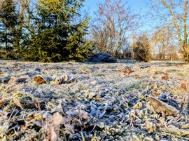 Polgárdi, Napsütéses, hideg reggel,