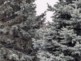 Polgárdi, dél óta kitartóan havazik, -2 C