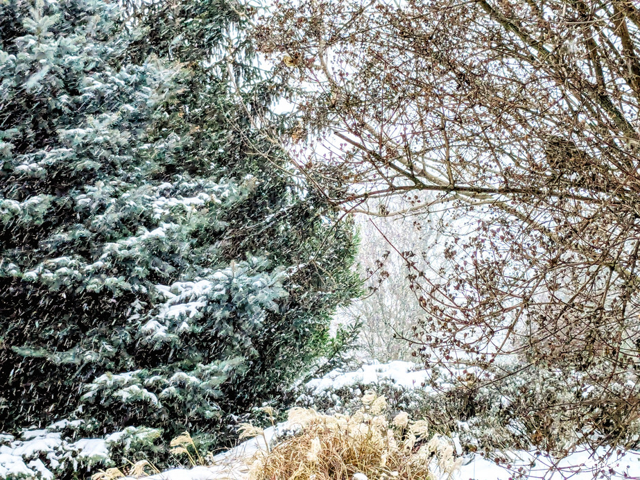 Polgárdi, havazás, néha hófúvásssal, -2 C