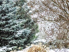 Polgárdi, havazás, néha hófúvásssal, -2 C