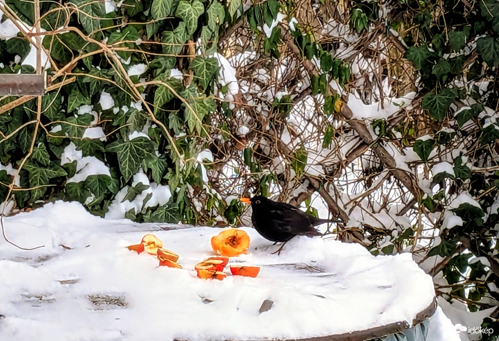 Polgárdi, erősen felhős, szellő, -2 C,