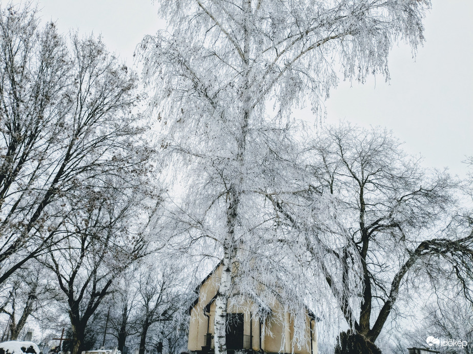 Polgárdi, most a zúzmara szépít. 