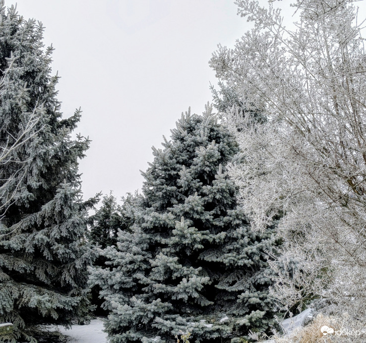 Polgárdi, zúzmara és ború, -4 C