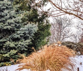 Polgárdi hol ez esik, hol az :)) +2 C