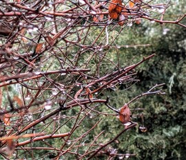 Polgárdi, szemerkélő eső