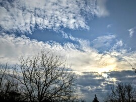 Polgárdi, közepesen felhős, élénk D-K-i szél, +6 C
