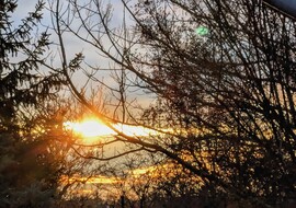 Polgárdi, rés a pajzson :)