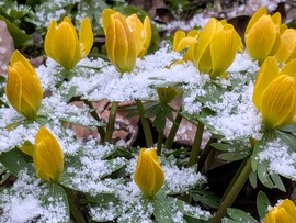 Polgárdi , ez van...