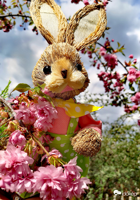 Kellemes húsvéti ünnepeket kívánok! :) 