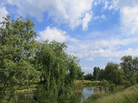 Jászjákóhalma