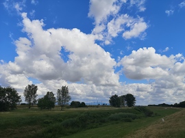 Tájkép