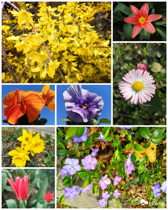 Virág válogatás József napján 