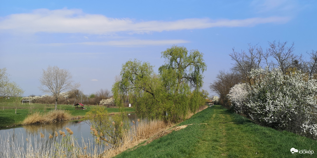 Napfényes tóparton 