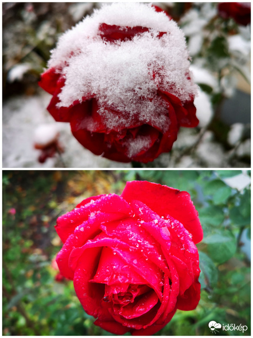 Halmazállapot változás (tegnap/ma)