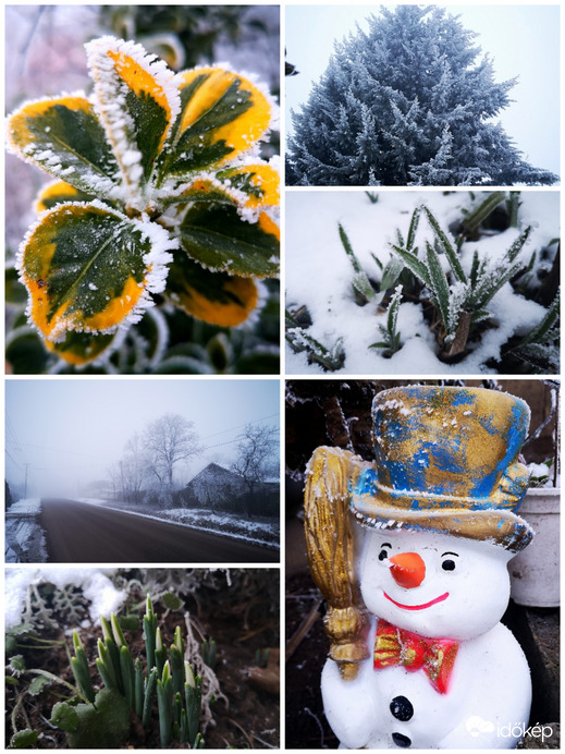 Fagyos, zúzmarás reggelen