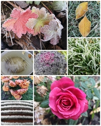 Ködös, fagyos reggelen