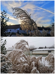 Jászjákóhalmán tegnap és ma