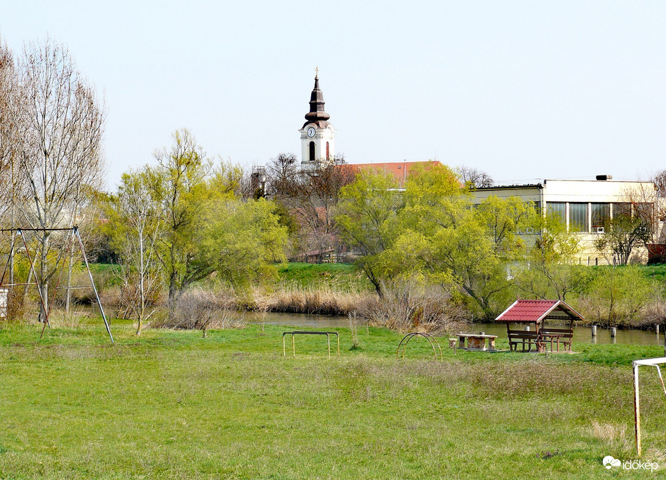 Napfényes tóparton 