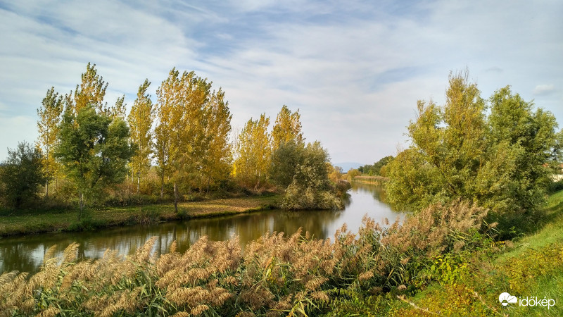 Tarna part