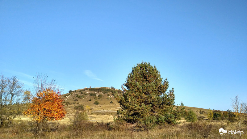 Sár-álló 