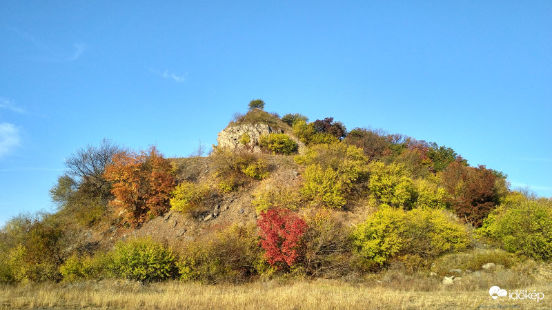 Zalahaláp