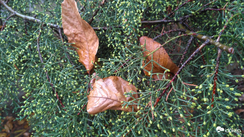 Félúton megpihenve