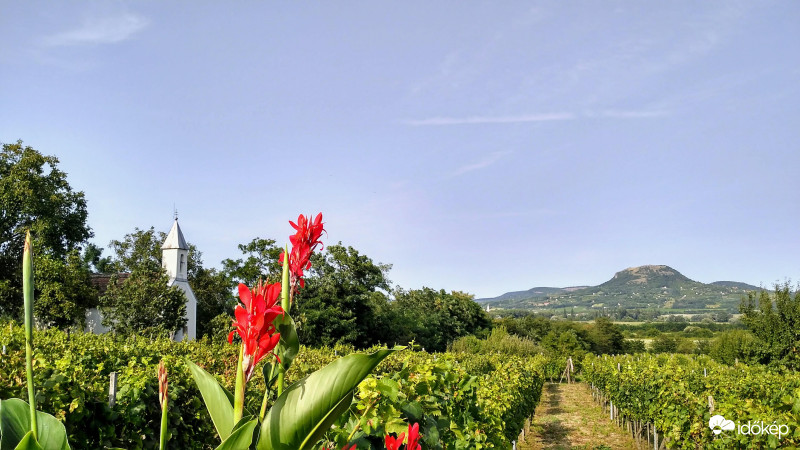 Balaton-felvidék