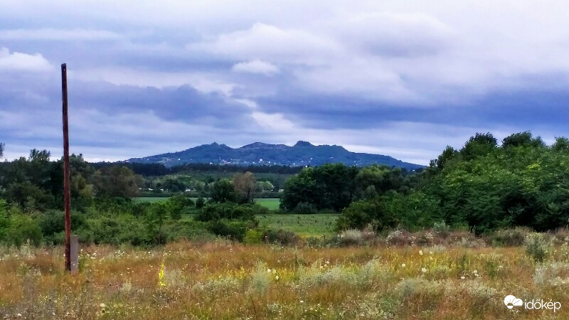 Zalahaláp