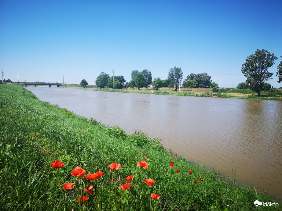 Jászjákóhalma Tarna