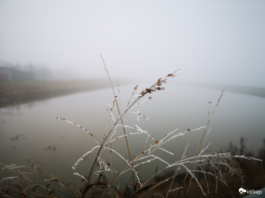 Egész nap szürkeség 