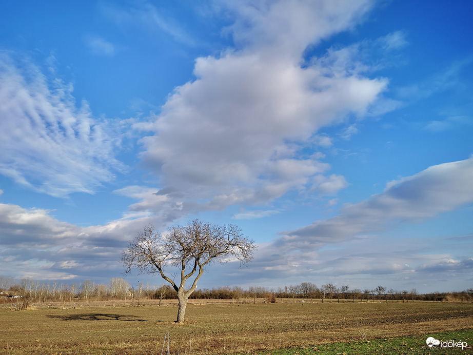 Tavaszi idő februárban