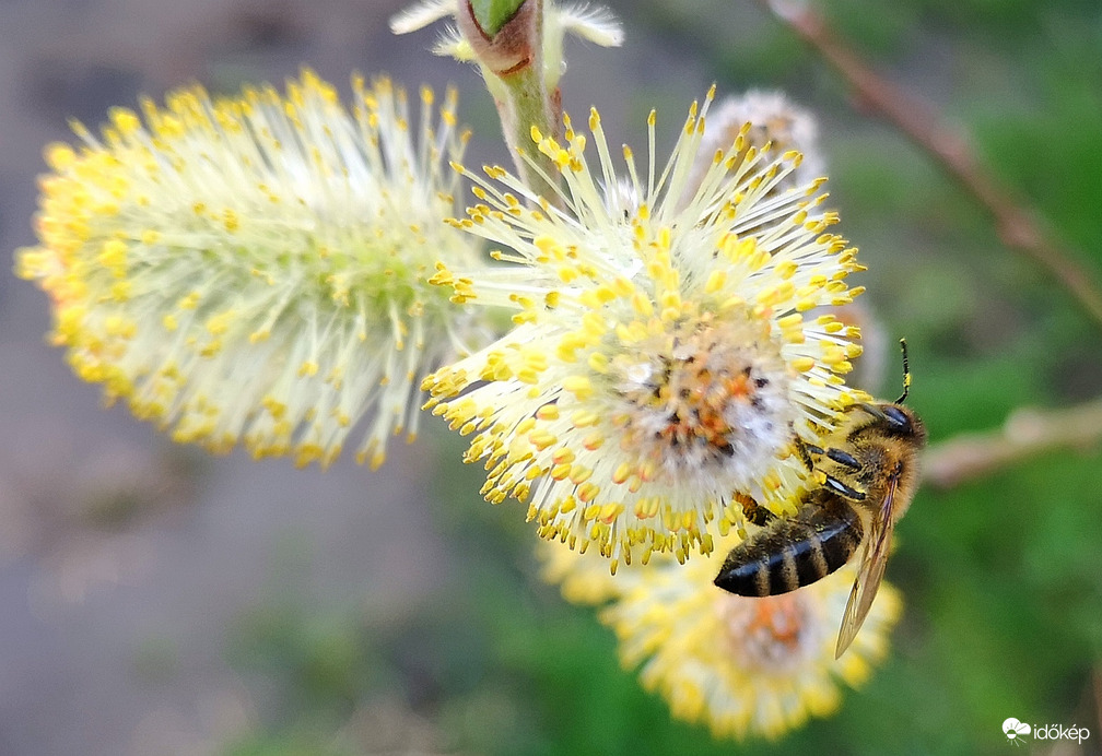 Tegnap még dolgoztak