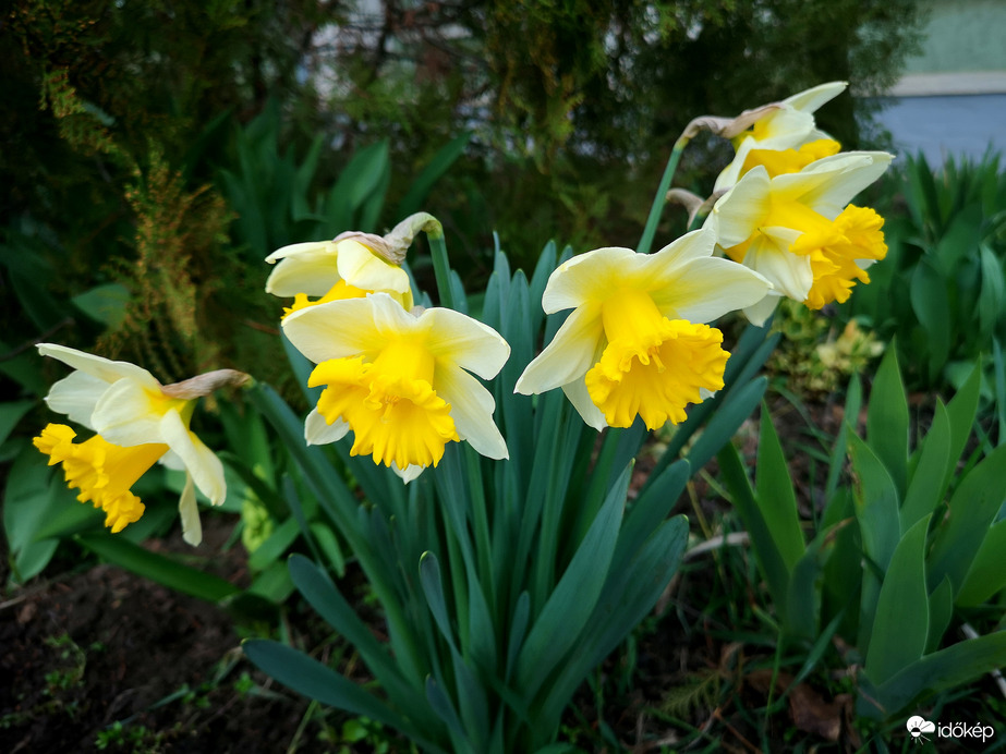 Délutánra a nap is kisütött