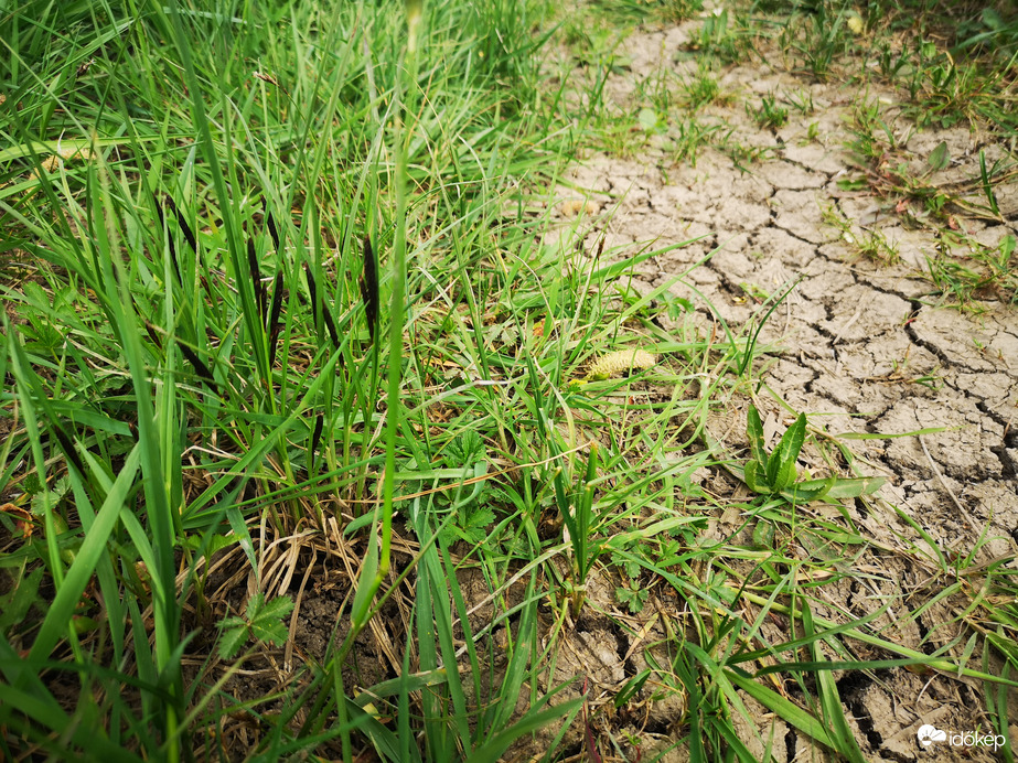Még van helye az esőnek