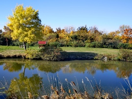 Őszi délután a horgásztónál