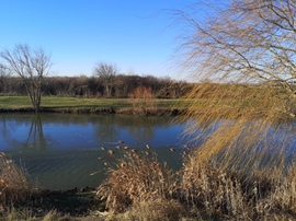 Fagyos, szeles időben