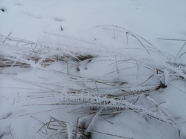 Jégkristályok a hóban