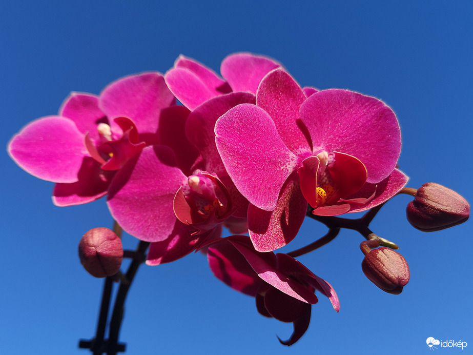 A kék ég háttérben szebben mu