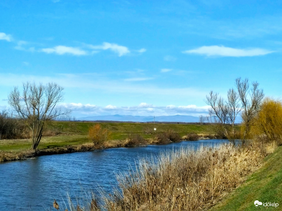 Tavaszt idéző természet, szeles februári napon