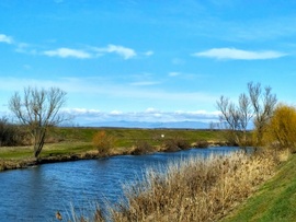 Tavaszt idéző természet, szeles februári napon