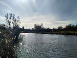 Amikor a tó felszínét a napfény csillogtatja